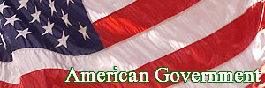 American Government Subject Image