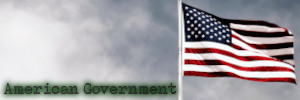 American Government Subject Image