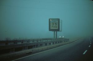 Early morning radiation fog