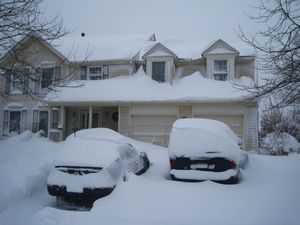 Snow-Covered Cars