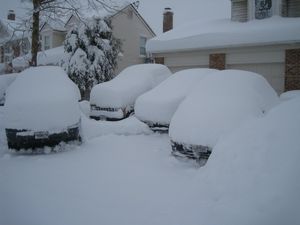 Snow-Covered Cars