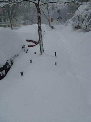 Snow-Covered Cars