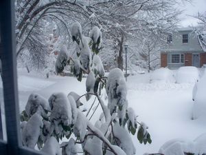 Maryland, Gaithersburg - Snowmageddon