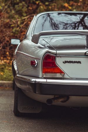 Classic Jaguar