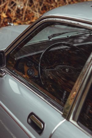 Jaguar car