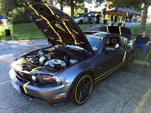 Custom 2010 Ford Mustang GT