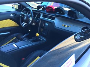 Custom 2010 Ford Mustang GT