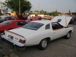 1977 Pontiac Le Mans Can Am