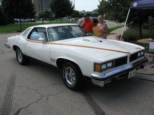 1977 Pontiac Le Mans Can Am