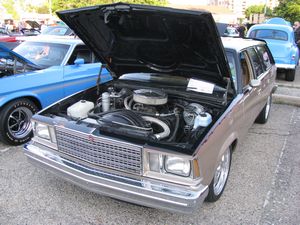 1979 Chevrolet Malibu Classic Wagon