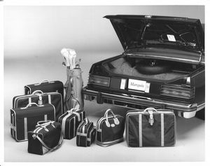 1979 Mercury Marquis Trunk
