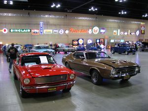 Ford Mustangs