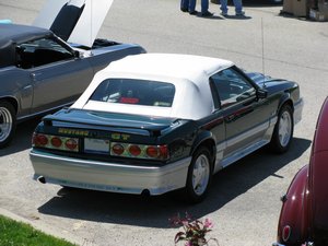 Custom Ford Mustang