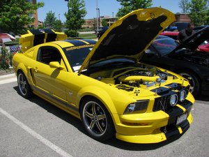 Custom 2006 Ford Mustang