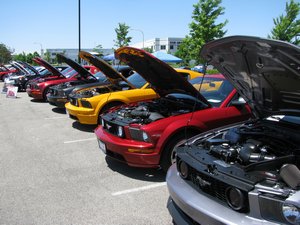 Fifth Generation Ford Mustangs