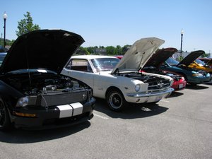 Ford Mustangs