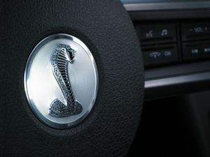 2010 Ford Mustang Shelby GT500
