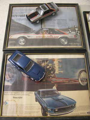 Ford Mustangs