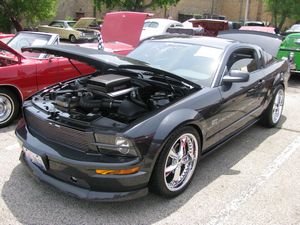 2006 Regency Ford Mustang