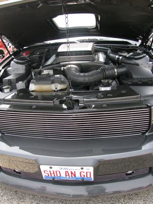 2006 Regency Ford Mustang