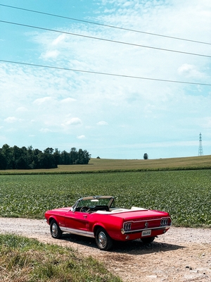 1965 Ford Mustang