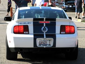 Mustang Shelby