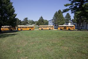 School Buses at School
