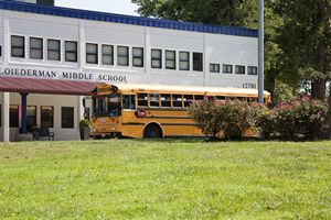 School Buses at School