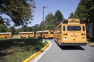 School Buses at School