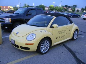 Trishie's Pet Sitting Volkswagen New Beetle