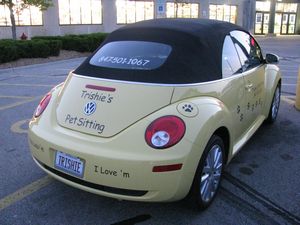 Trishie's Pet Sitting Volkswagen New Beetle