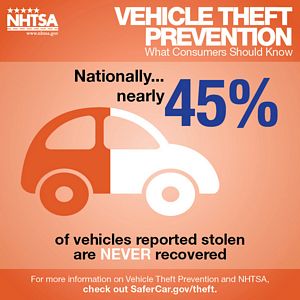 Vehicle Theft Prevention Month 2015 Infographic