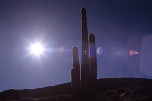 Route 66: An American (bad)Dream