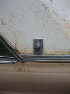 Hurricane Katrina Damaged Car Buick Skylark