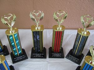 Summer NNL Trophies