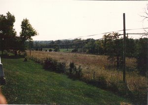 Driving Through Virginia in 1986