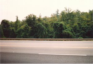 Driving Through Virginia in 1986