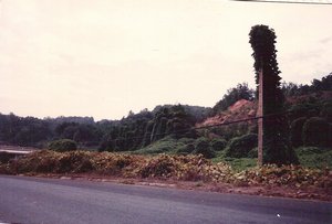 Driving Through Virginia in 1986