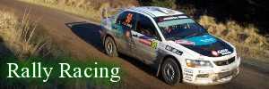 Armindo Araújo Rally Car
