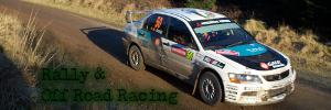 Armindo Araújo Rally Car