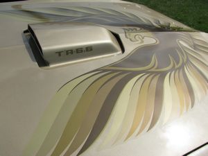 1979 Pontiac Trans Am