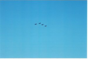 2002 Tropicana 400